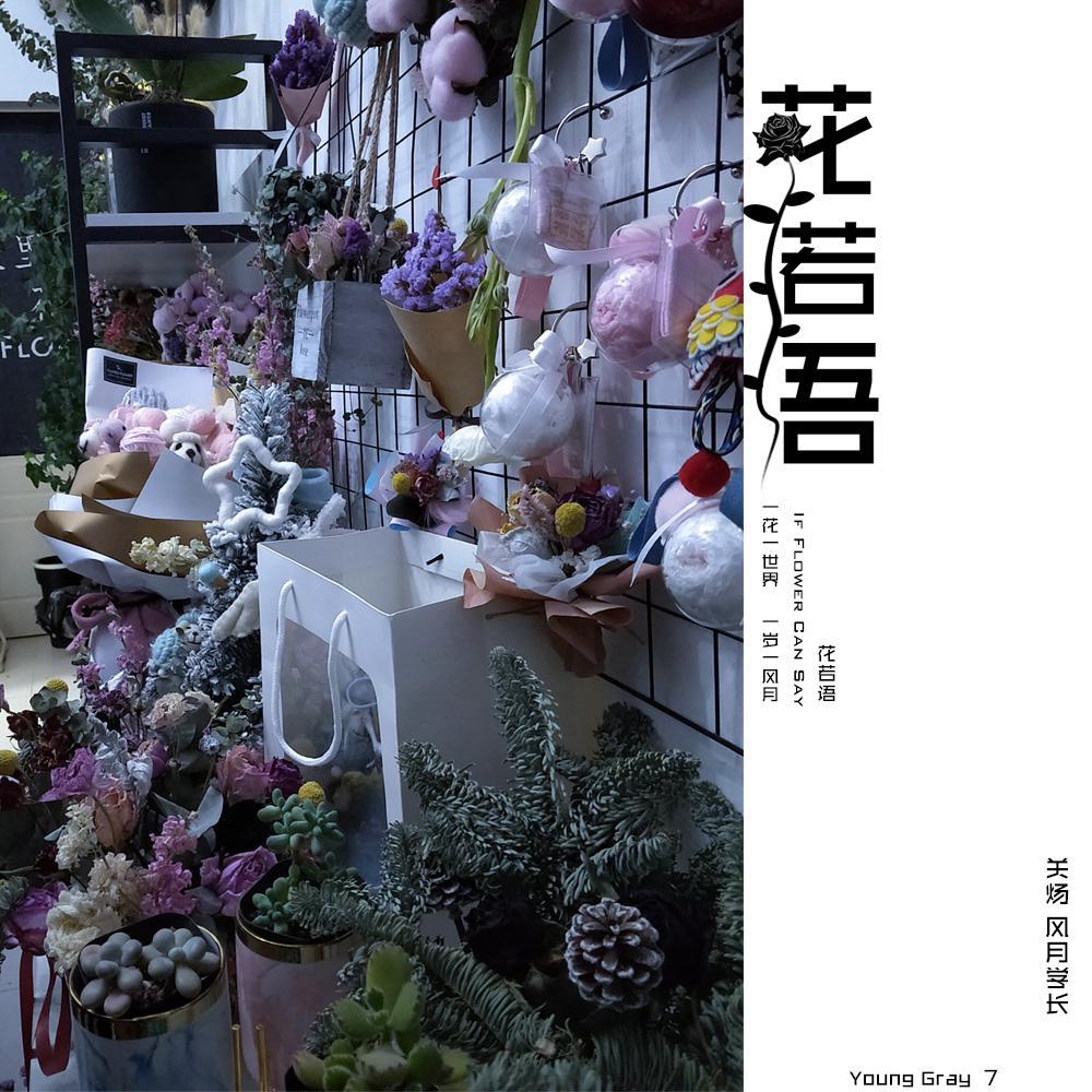 灰原哀 - 风月学长封面