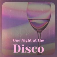 One Night at the Disco