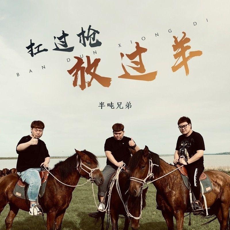 扛过枪 放过羊(DJ版)封面