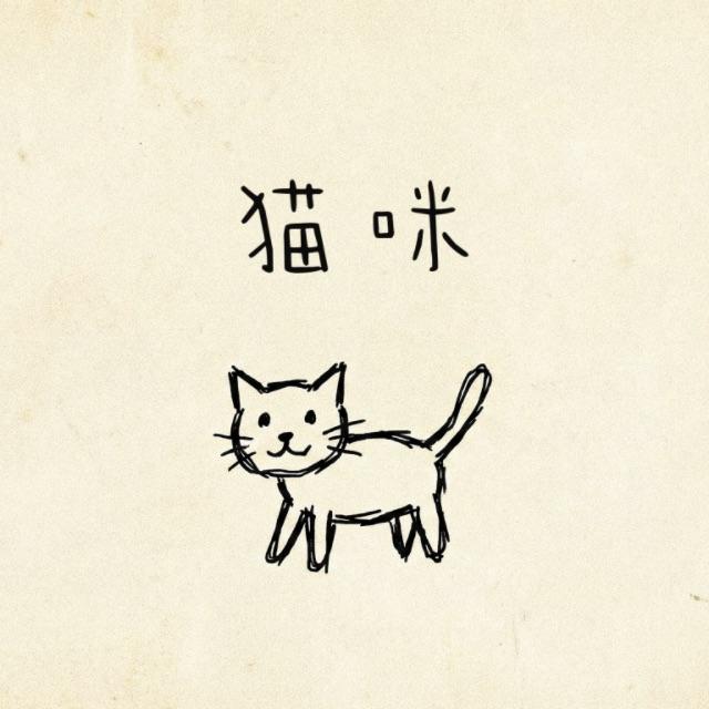 猫咪封面