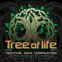 Tree Of Life Festival 2014