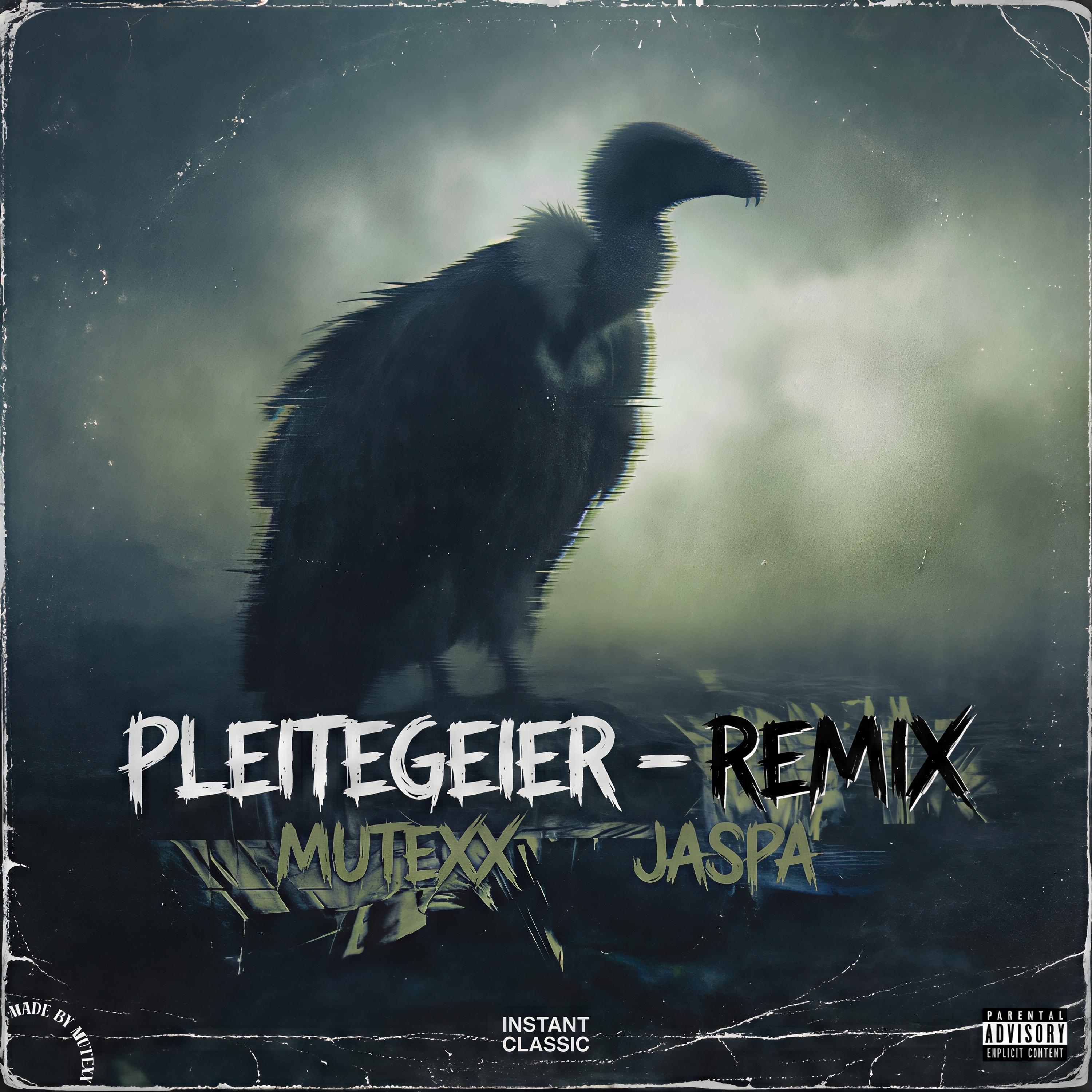 Pleitegeier (Remix)