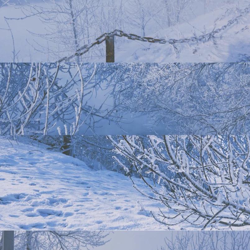 雪花落下封面