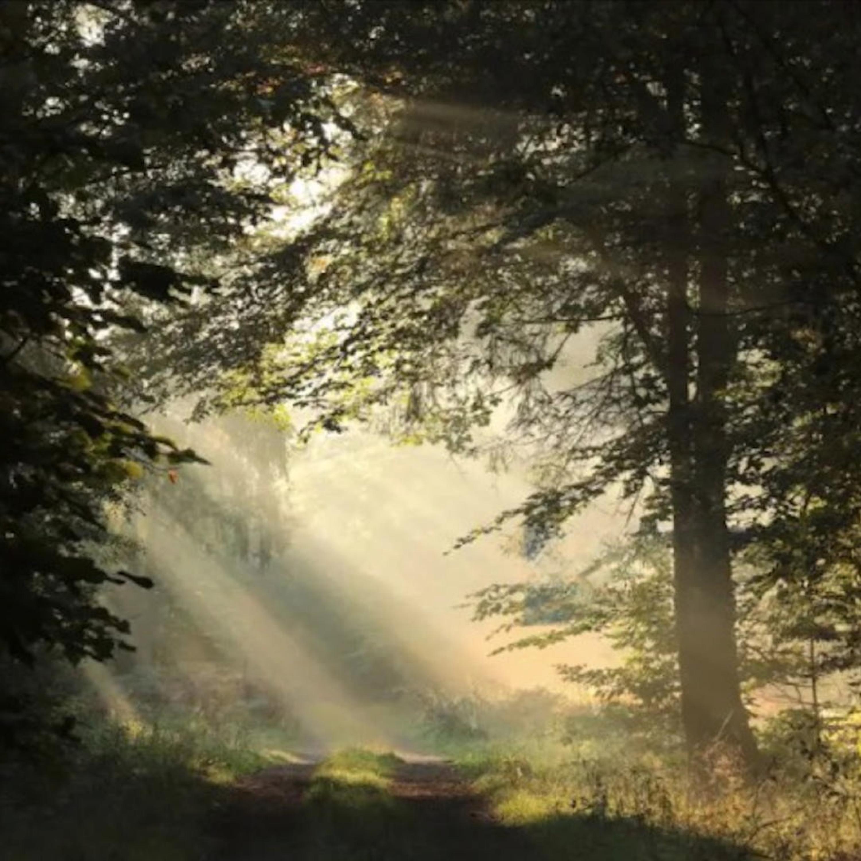 On top of mount Taigetos