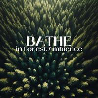 Bathe in Forest Ambience: Immerse Yourself in the Tranquility of the Woods