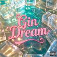 Gin Dream