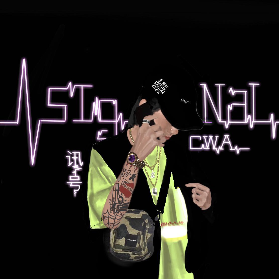 SIGNAL "讯号“封面