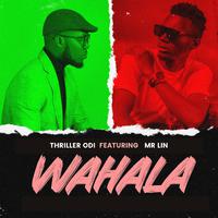 Wahala (feat. Mr Lin)