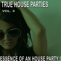 True House Parties:, Vol. 3