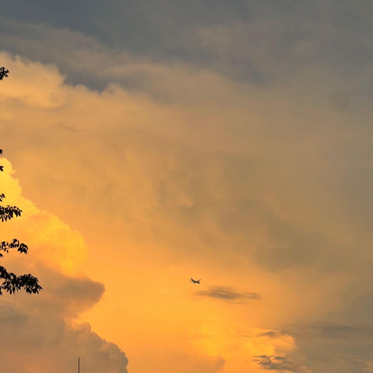 Fine me out Prod.By wheelllll