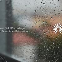 Nature Field Recordings