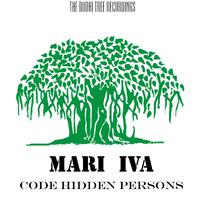 Code Hidden Persons