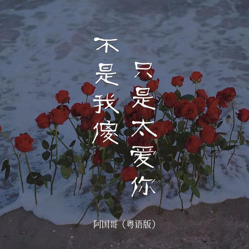 不是我傻只是太爱你 (粤语版)封面