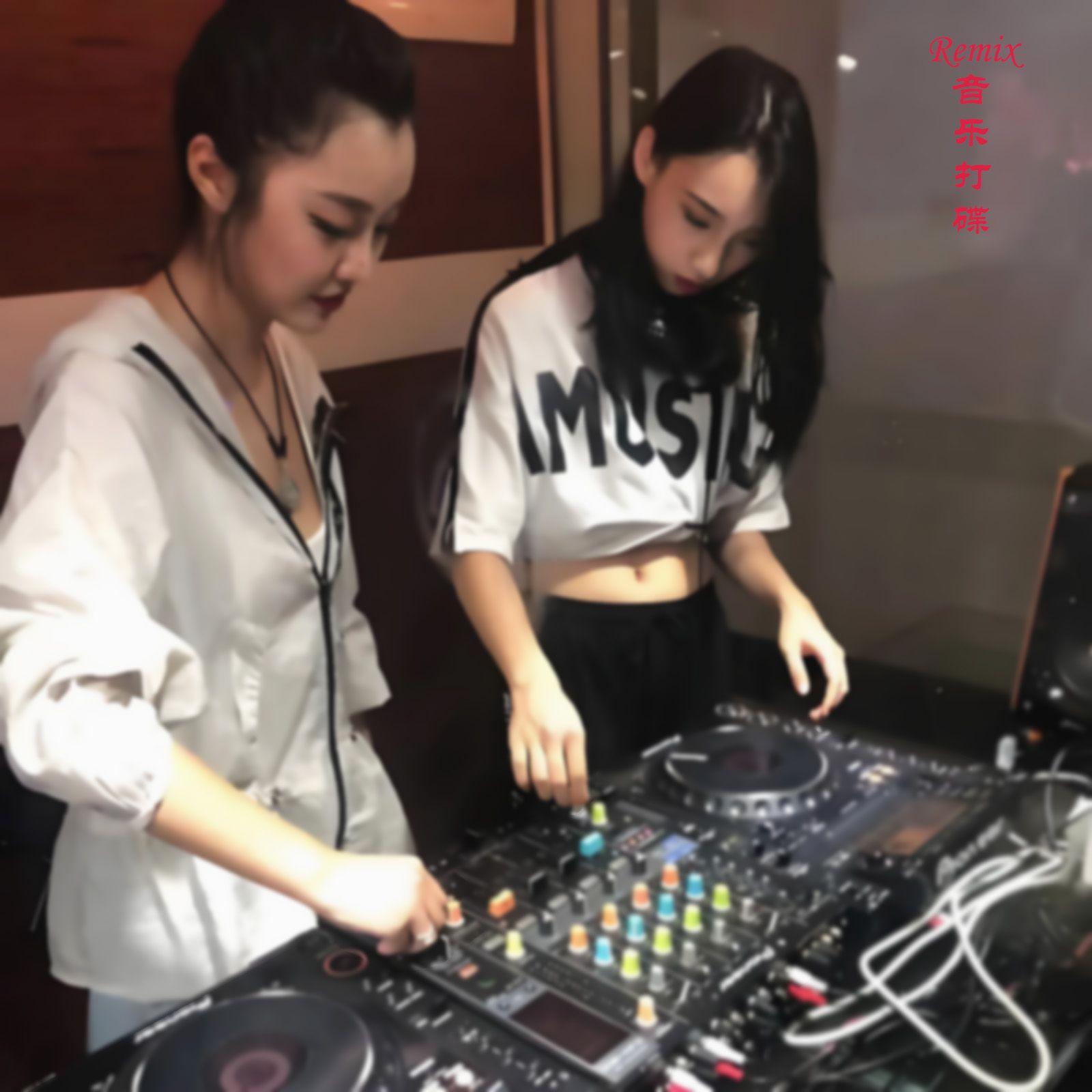 当你孤单你会想起谁,给你留念,那些年,你把我灌醉 (Dj)封面