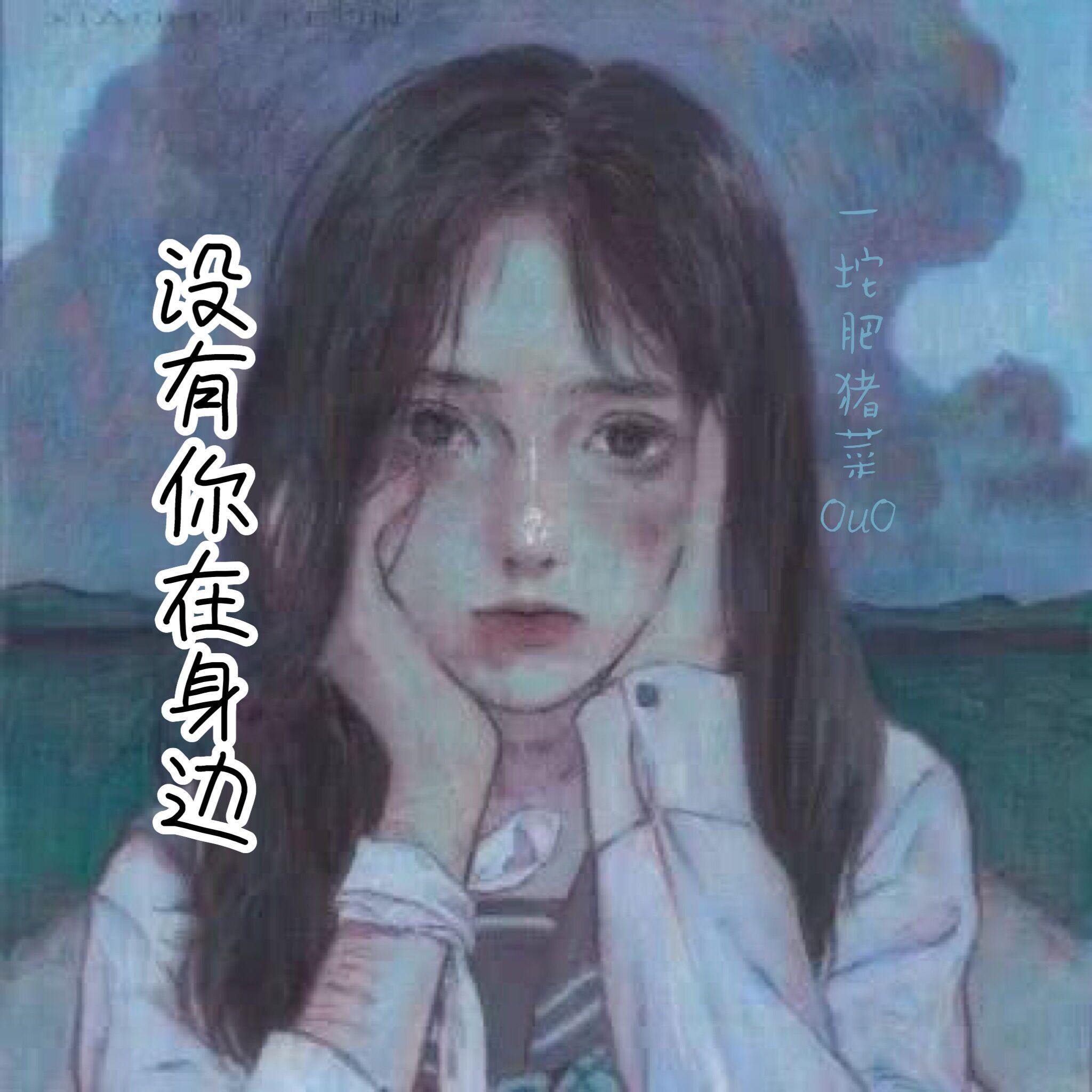 没有你在身边（伴奏）封面
