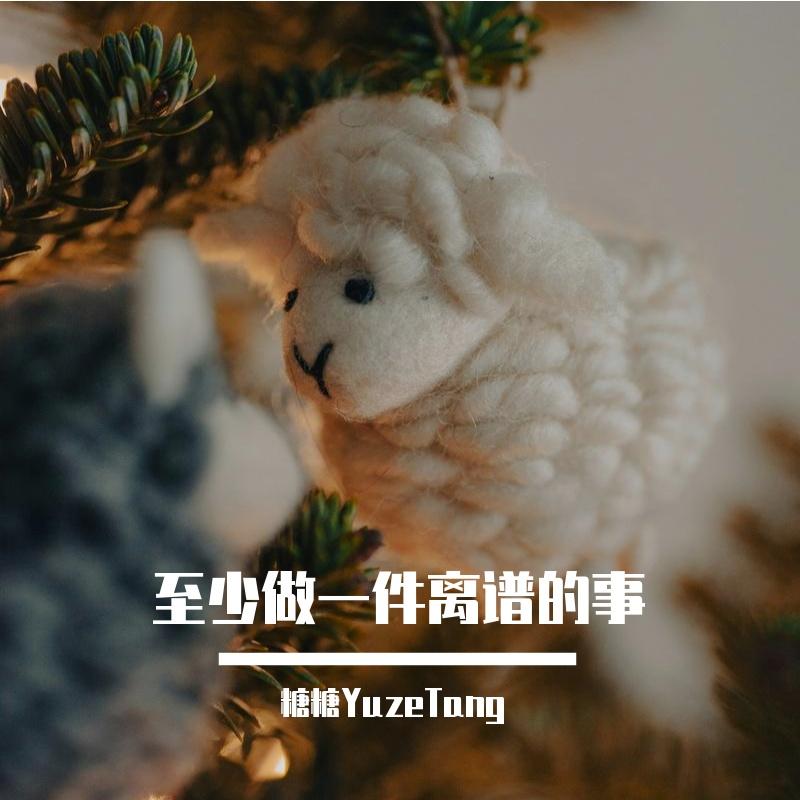 至少做一件离谱的事封面