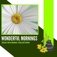 Wonderful Mornings - 2020 Spa Music Collection