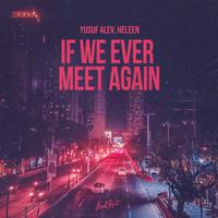 If We Ever Meet Again