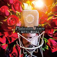 Platinum Voice~届けたい歌がある~