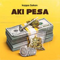 Aki PESA