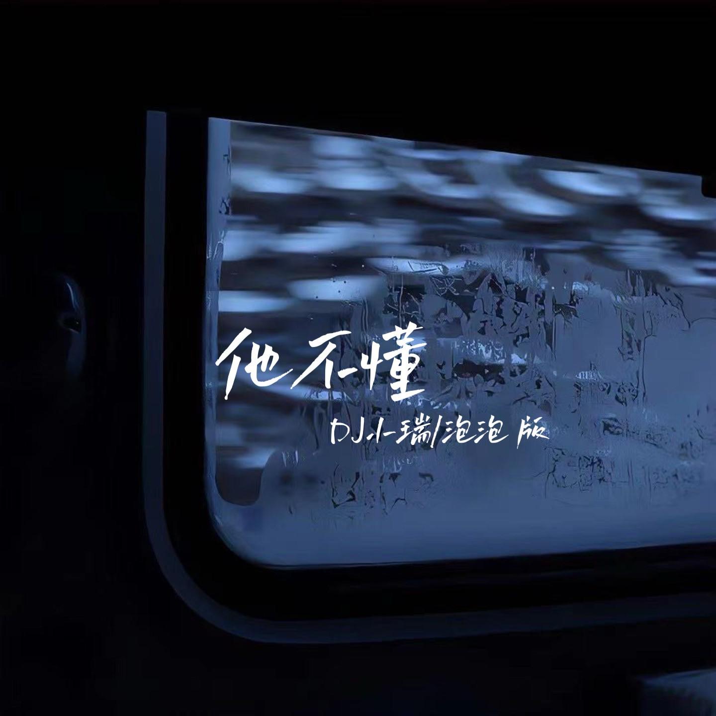 他不懂（DJ小瑞版）