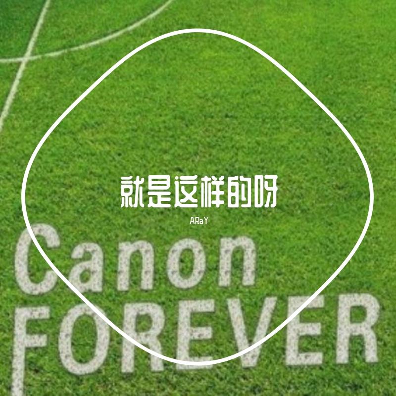 生如夏花封面