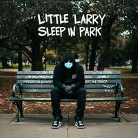 SLEEP IN PARK