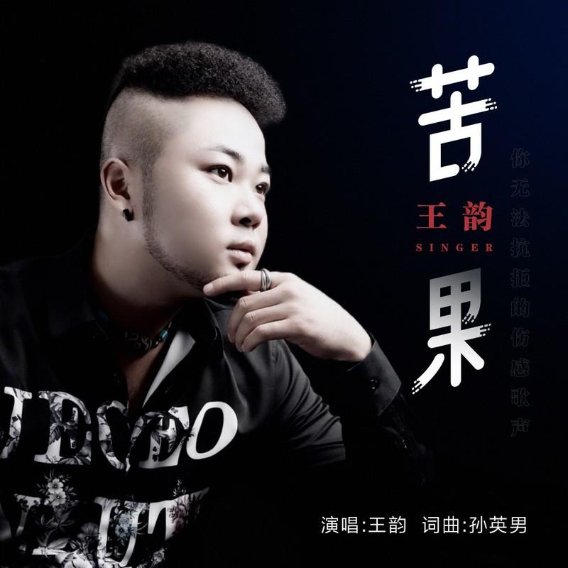 苦果 (DJ名龙版伴奏)封面