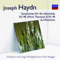 Symphony in F minor, H.I No.49 -