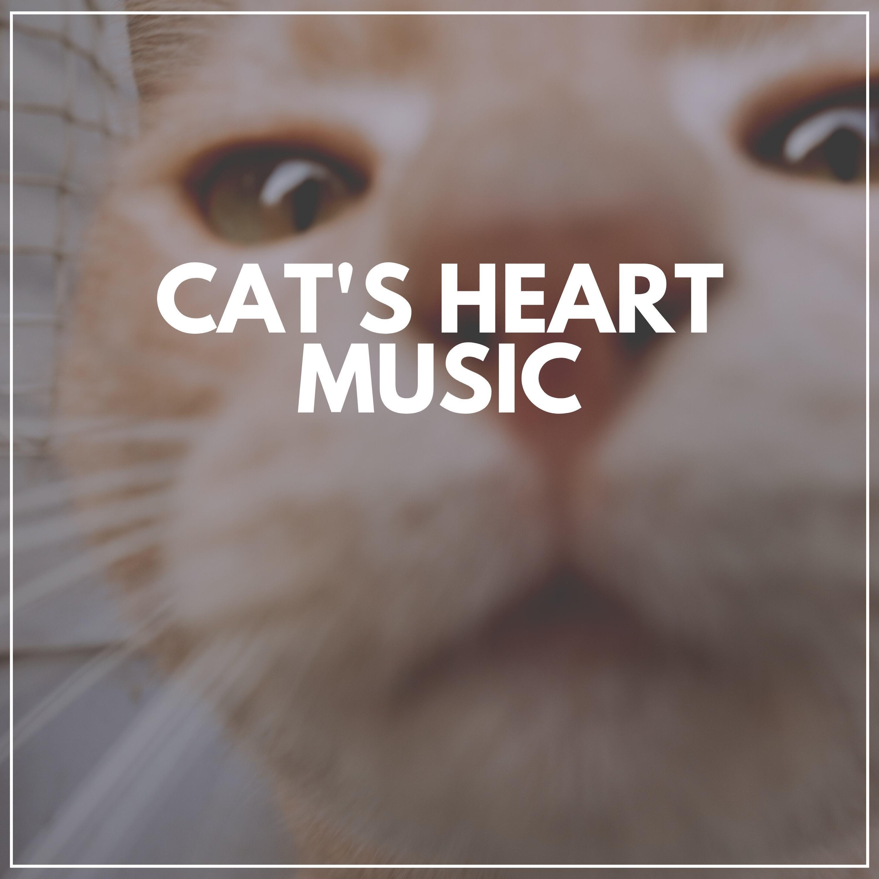 soothing-melodies-to-calm-your-cat-pt-33-music-for-cats-peace