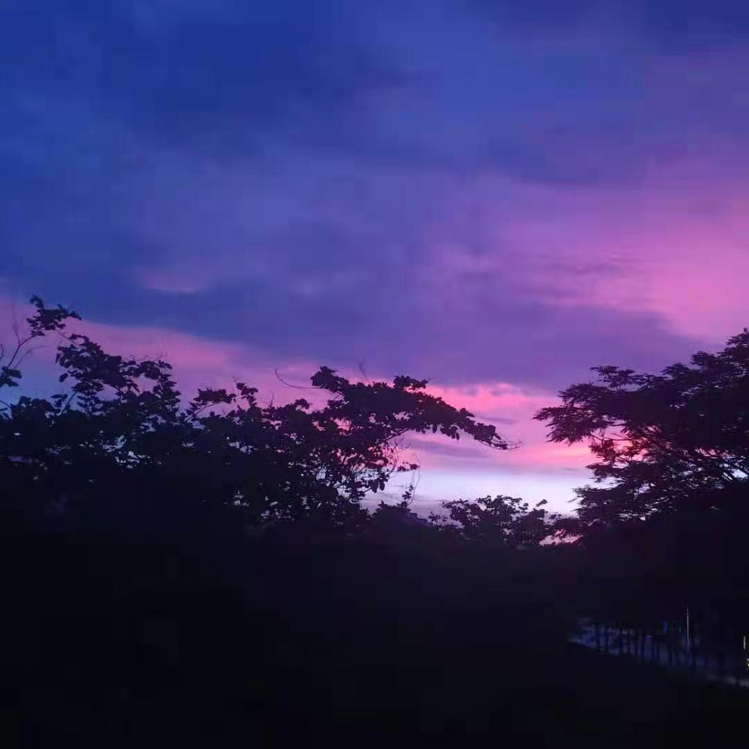 趁早 伴奏封面