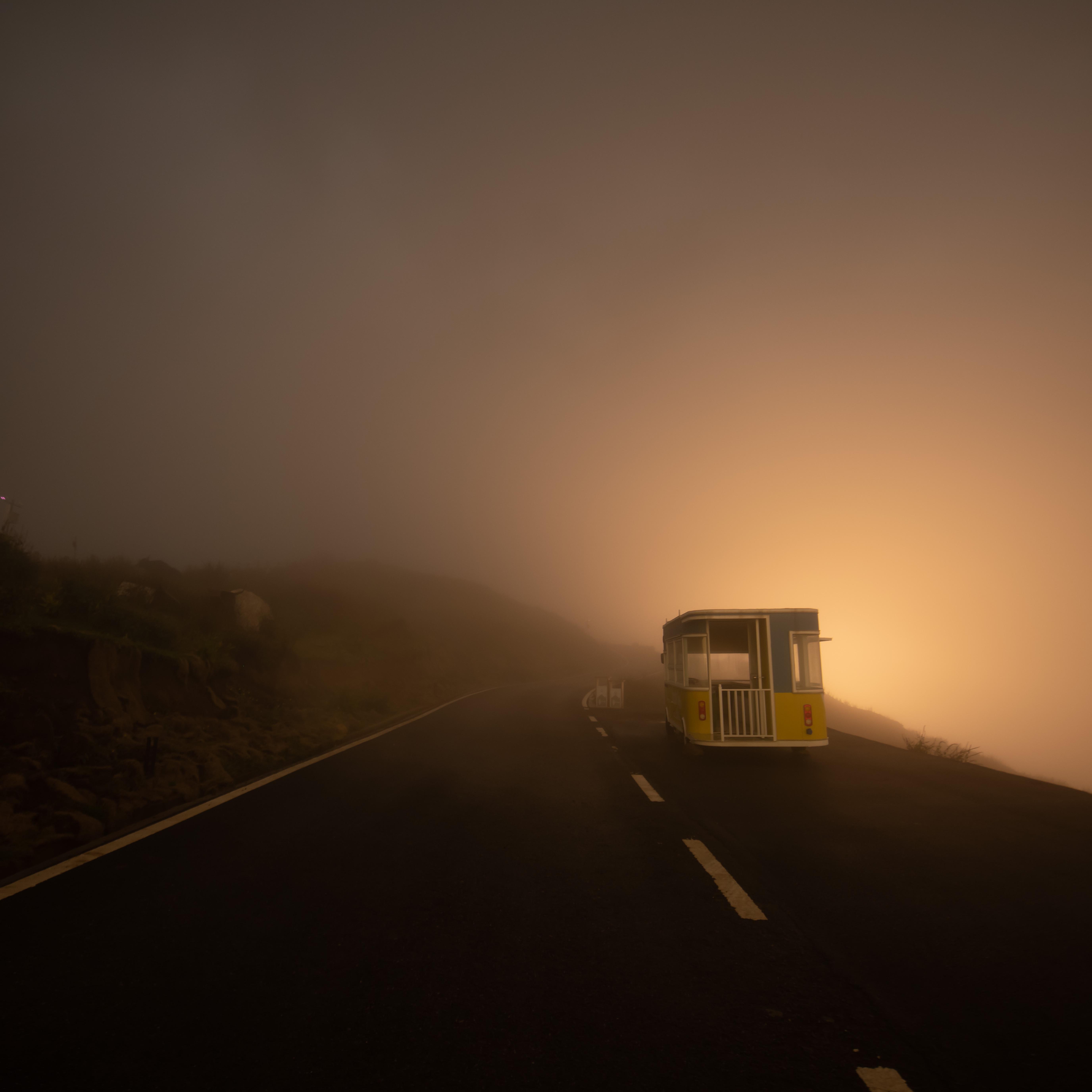 蒲公英-潘行紫旻老师作品