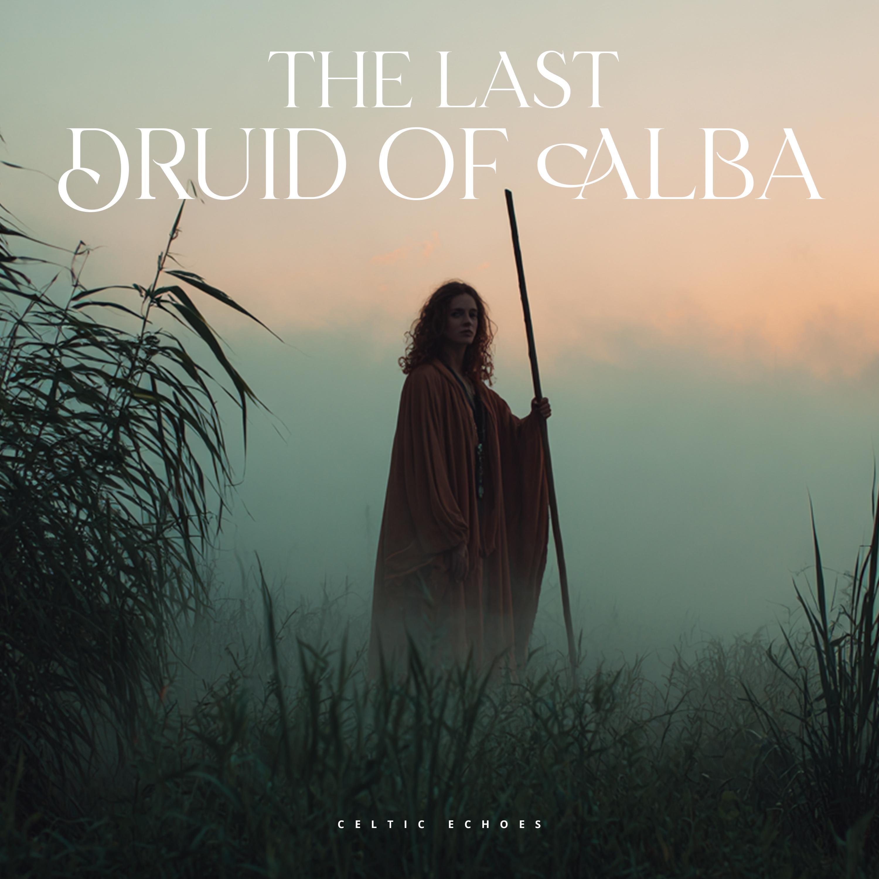 The Last Druid of Alba