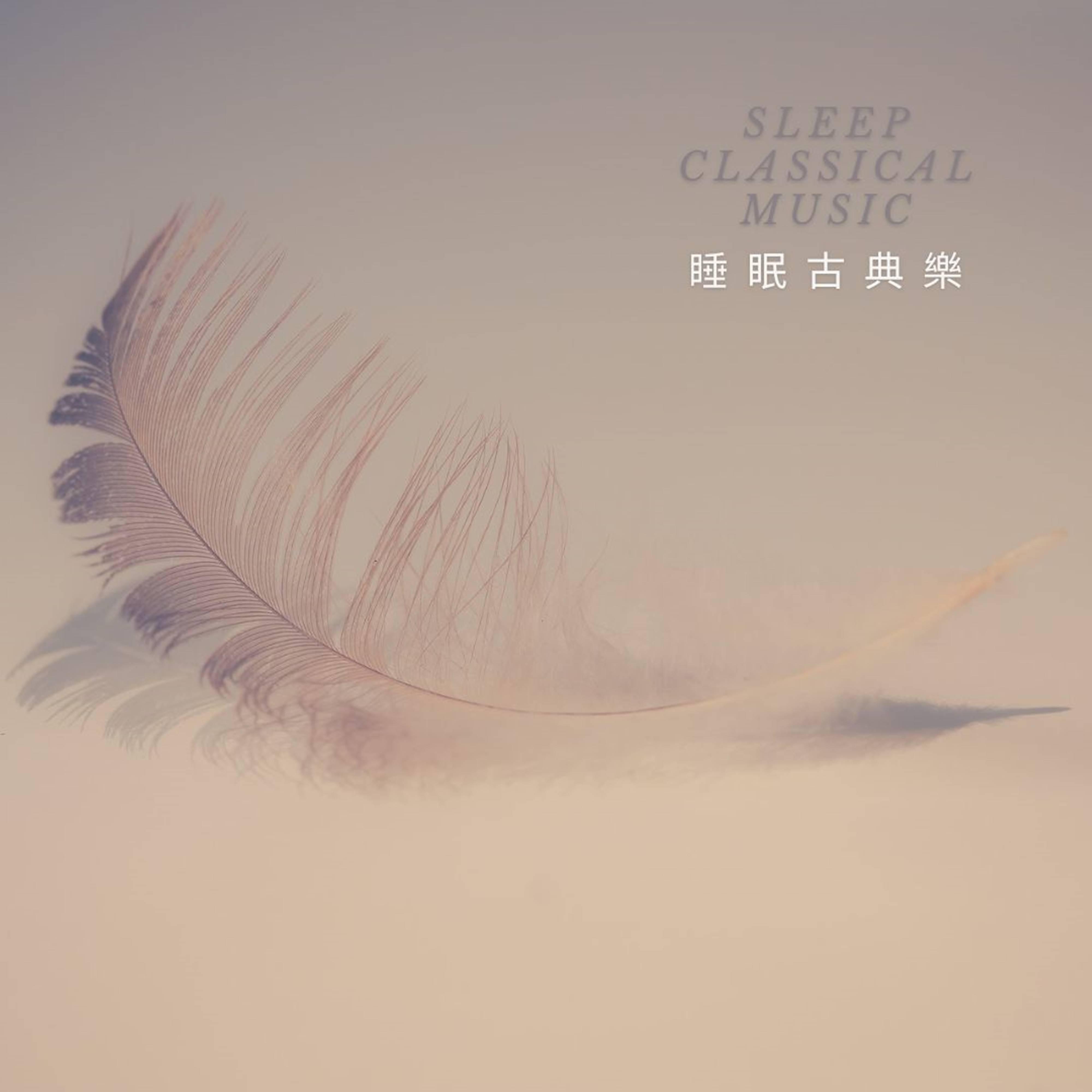 舒伯特 野玫瑰封面