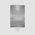 Fading专辑