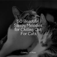 50 Beautiful Sleepy Melodies for Chilling Out For Cats