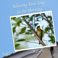 Nature: Relaxing Bird Song in the Morning Vol. 1