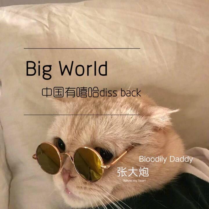 Big World（中国有嘻哈diss back）