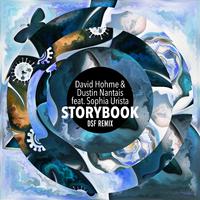 Storybook (DSF Remix)