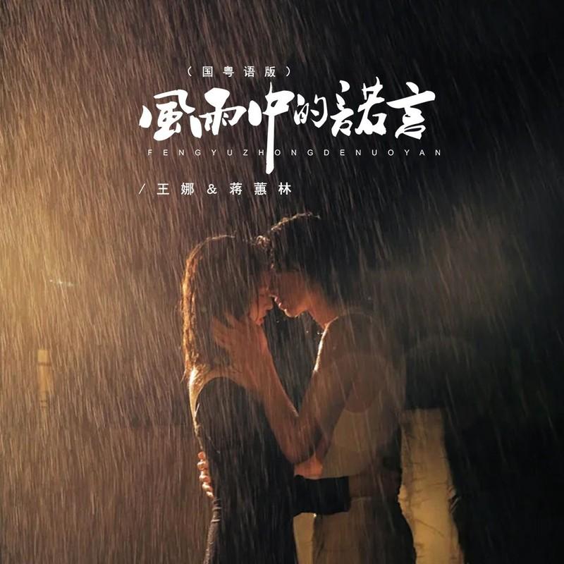 风雨中的诺言 (国粤语版) - 王娜、蒋蕙林封面