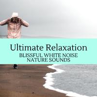 Ultimate Relaxation - Blissful White Noise Nature Sounds