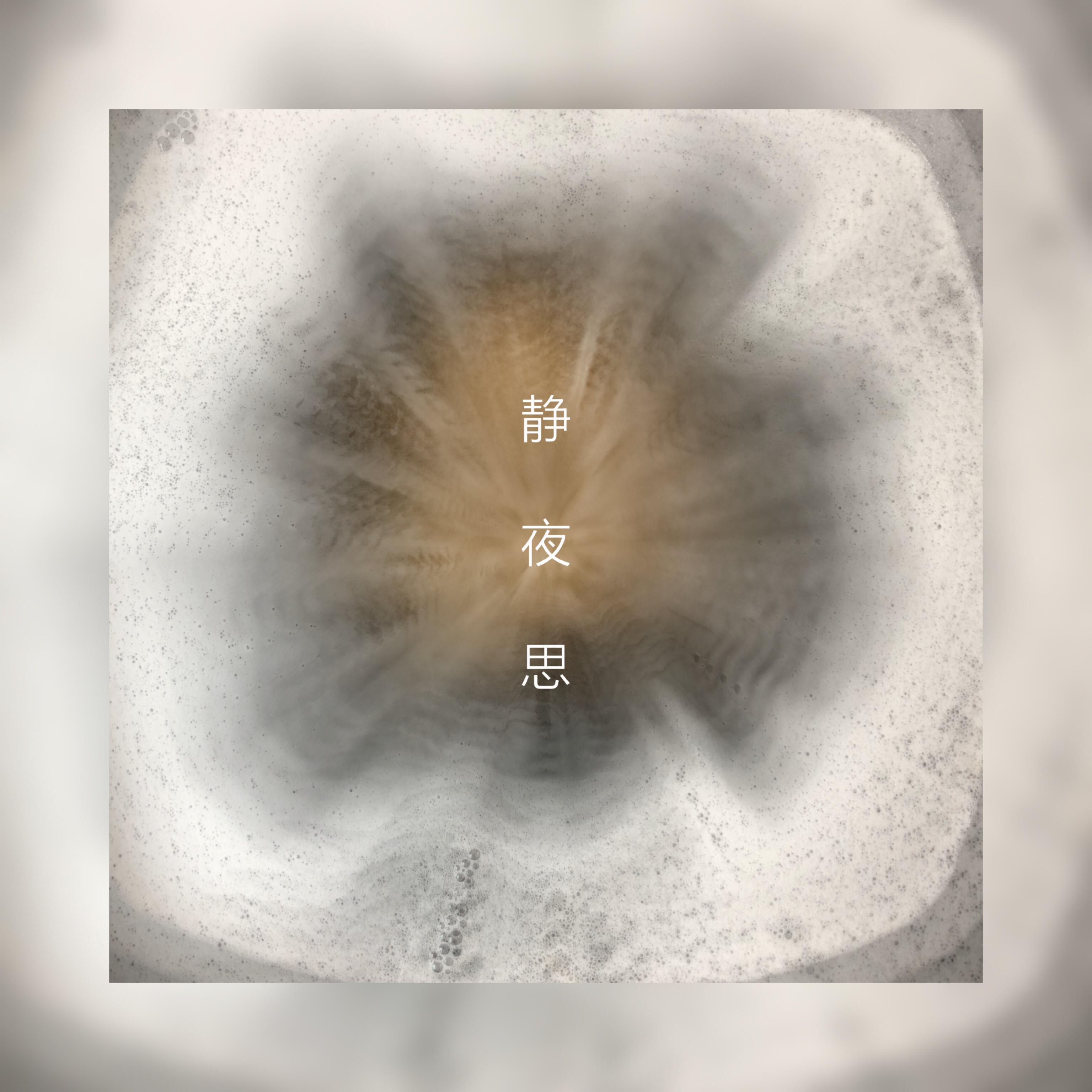 静夜思 （Prod. by Zj-alvSoN）