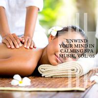 Unwind Your Mind In Calming Spa Music, Vol. 05