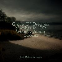 Grove Of Dreams: Slumber In 100 Woodsy Audio Spaces