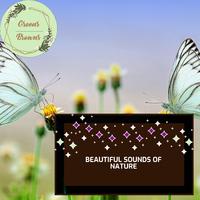 Beautiful Sounds of Nature