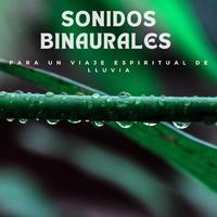 Sonidos Binaurales Para Un Viaje Espiritual De Lluvia