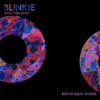 What You Want (Kevin Gani Remix)