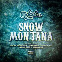 Snow Montana