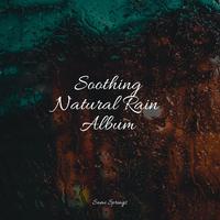 Soothing Natural Rain Album