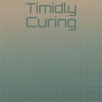 Timidly Curing